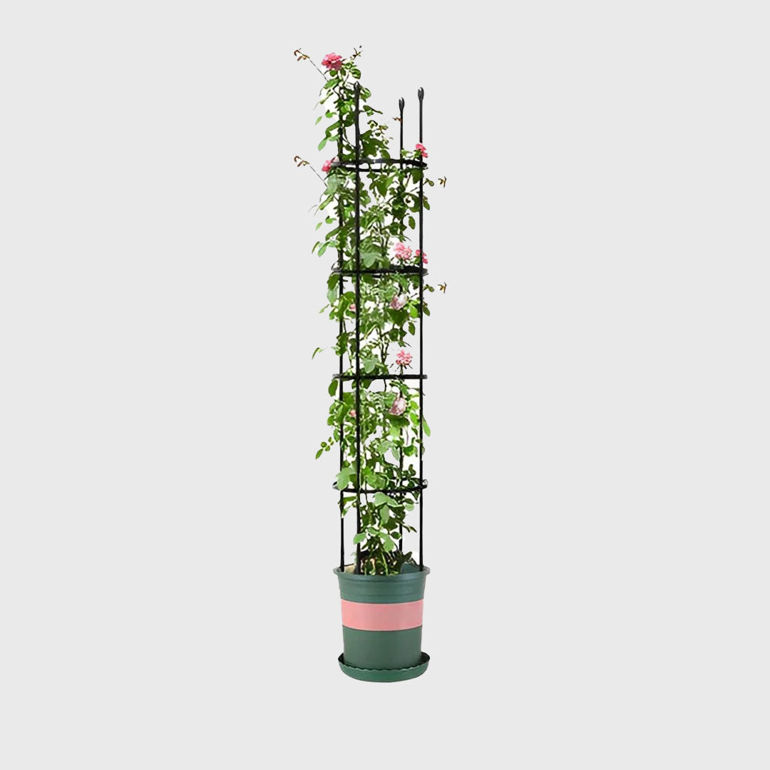 163cm 4-Bar Plant Frame Stand