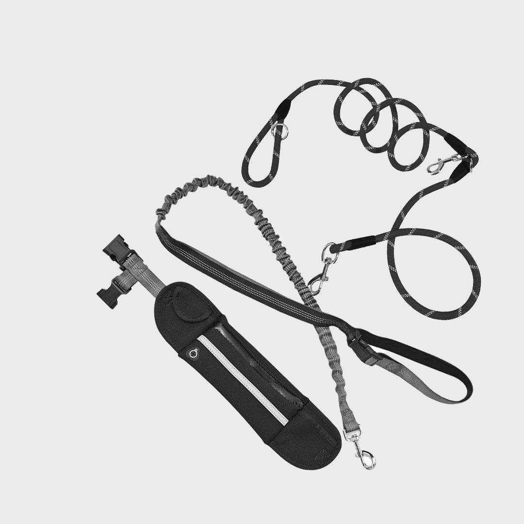 Pet Leash