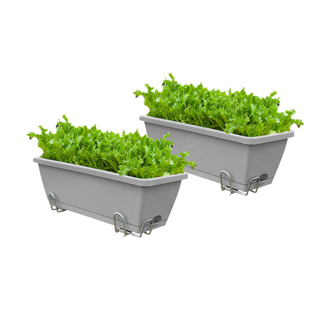 49.5cm Gray Rectangular Vegetable Herb Flower Planter Box Set of 2