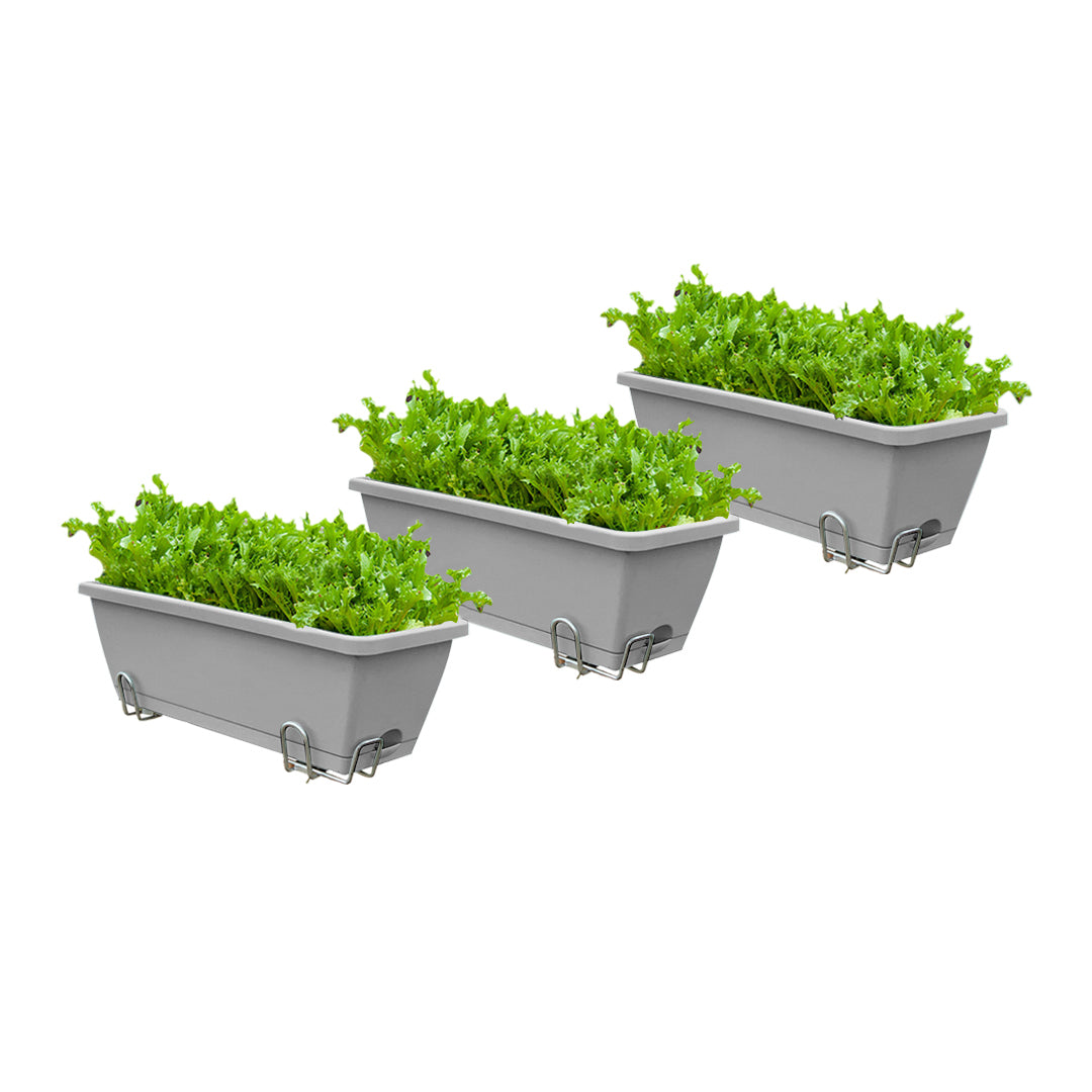 49.5cm Gray Rectangular Vegetable Herb Flower Planter Box Set of 3
