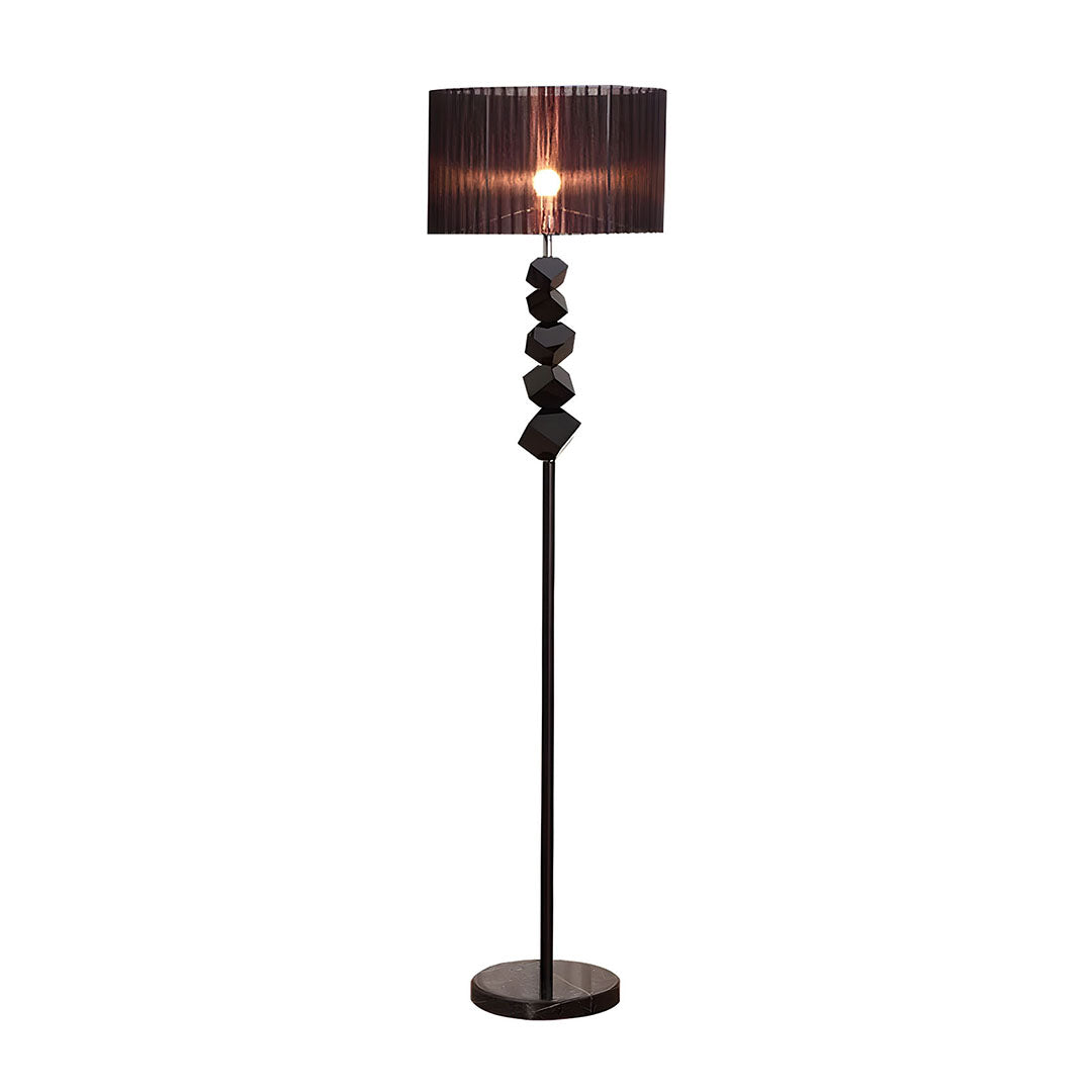 Floor Lamp with Dark Shade