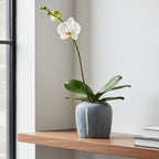 SOGA 21x22cm Grey Small Ceramic Flower Vase Elegant Living Room Home Decor
