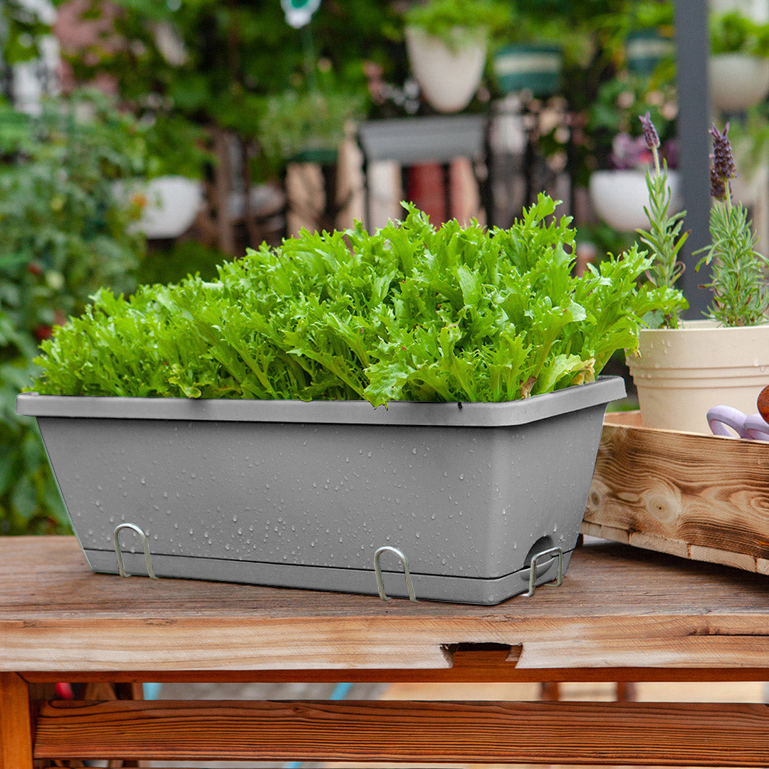 49.5cm Gray Rectangular Vegetable Herb Flower Planter Box Set of 4