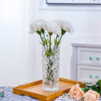 30cm Sleek Clear Glass Vase Elegant Wide Crystal