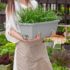 49.5cm Gray Rectangular Vegetable Herb Flower Planter Box Set of 4