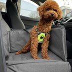 Grey Car Pet Sitting Bag