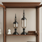 2x Clear Black Glass Vase with Lid Set