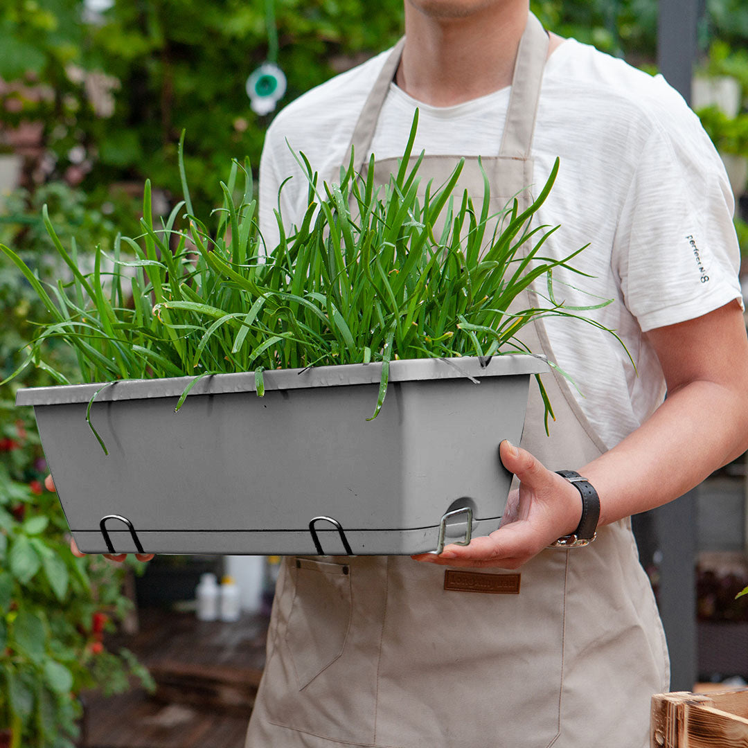 49.5cm Gray Rectangular Vegetable Herb Flower Planter Box Set of 2
