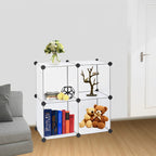 4-Cube Transparent Shelf Box