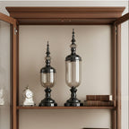 2x Clear Black Glass Vase with Lid Set