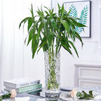 30cm Sleek Clear Glass Vase Elegant Wide Crystal