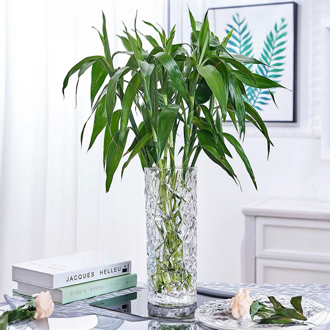 30cm Sleek Clear Glass Vase Elegant Wide Crystal