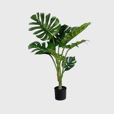 120cm Artificial Turtle Back Plant