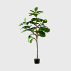 155cm Green Artificial Indoor Qin Yerong Tree