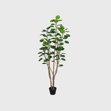 150cm Artificial Indoor Pocket Money Tree