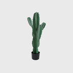 70cm Artificial Indoor Cactus Tree 5 Heads