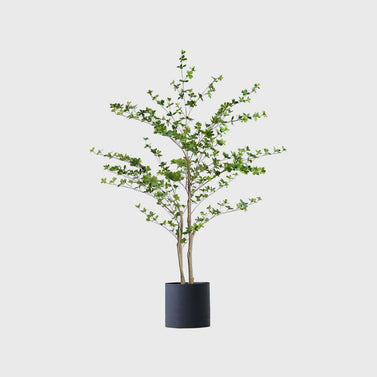 150cm Artificial Indoor Watercress Tree