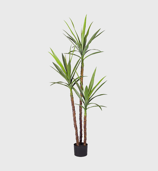 150cm Yucca Artificial Plant