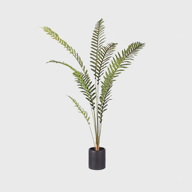 210cm Foot Fern Artificial Plant