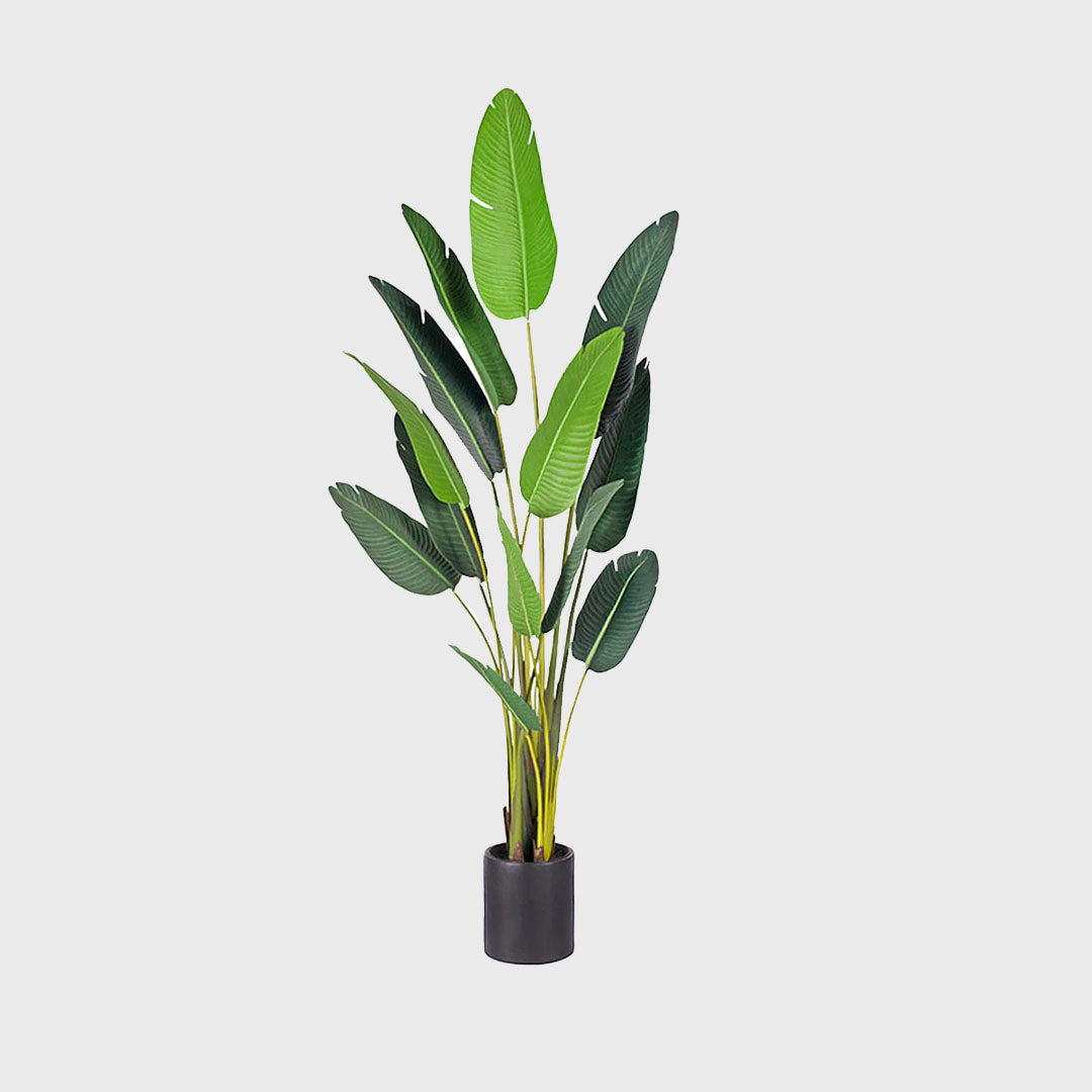 220cm Birds of Paradise Artificial Plant