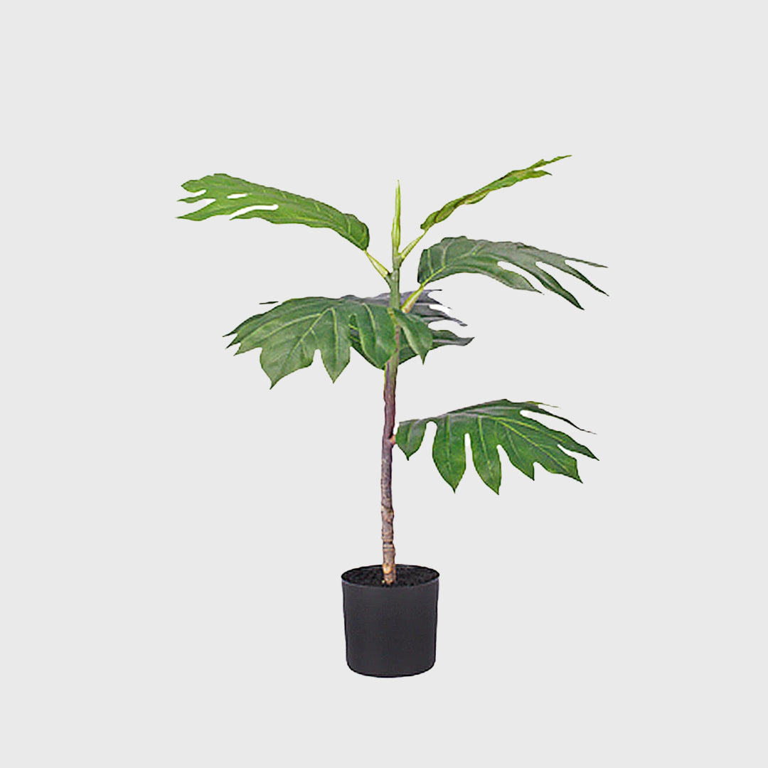 60cm Philodendron Artificial Plant