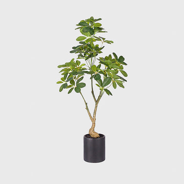 120cm Schefflera Artificial Plant