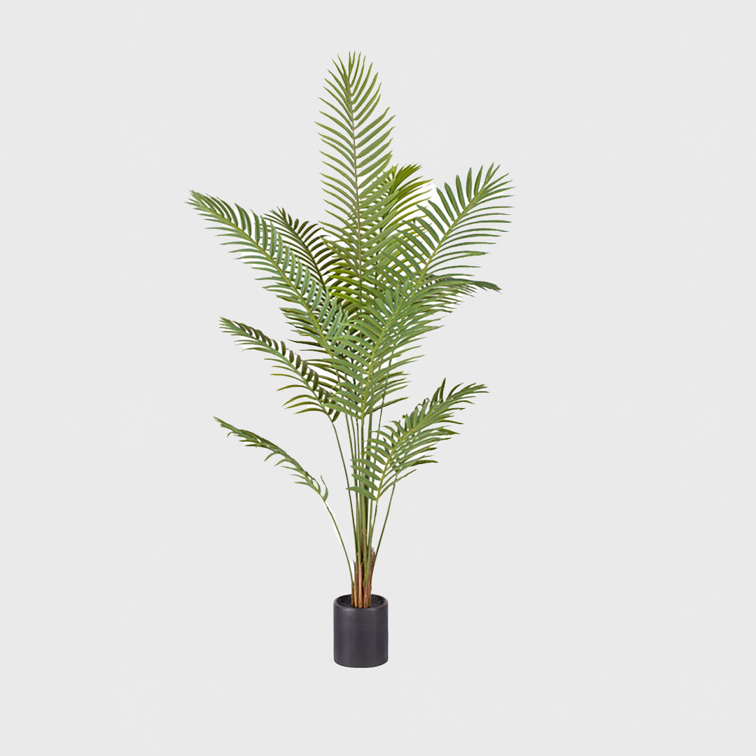 210cm Artificial Rogue Areca Palm Tree