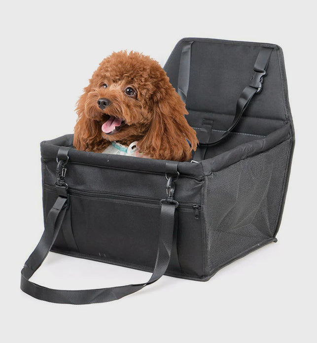 Auto pet outlet carrier