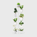 7 Tier White Metal Plant Rack