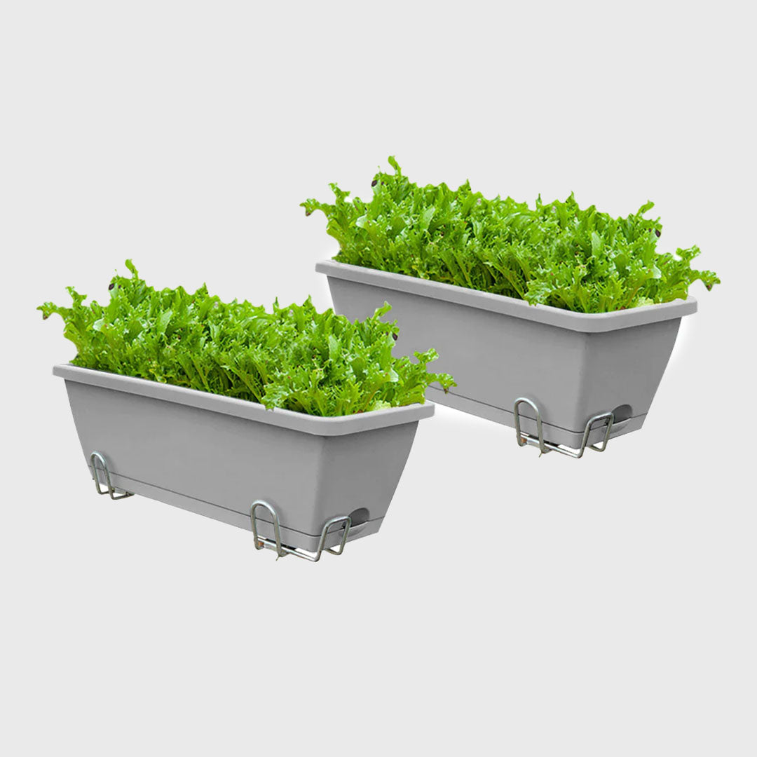 49.5cm Gray Rectangular Vegetable Herb Flower Planter Box Set of 2