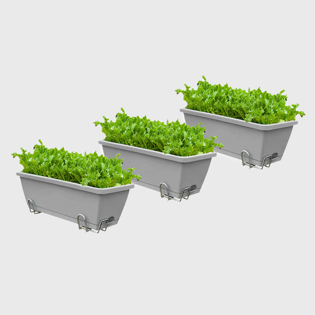49.5cm Gray Rectangular Vegetable Herb Flower Planter Box Set of 3