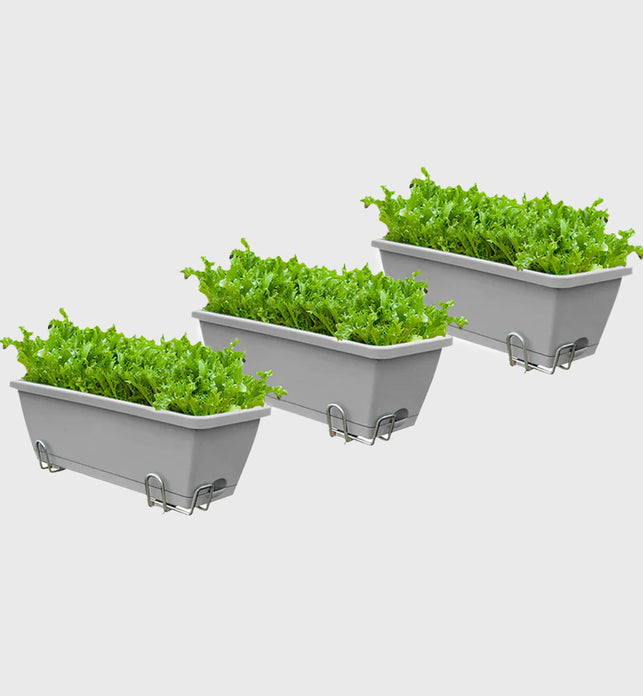 49.5cm Gray Rectangular Vegetable Herb Flower Planter Box Set of 3