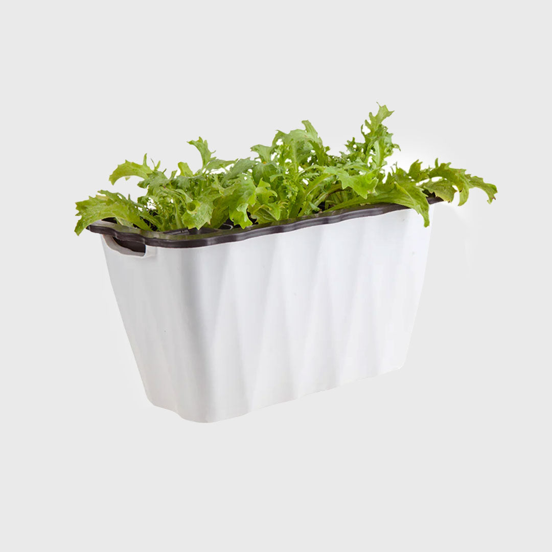 White Rectangular Flowerpot Vegetable Herb Planters Box Small