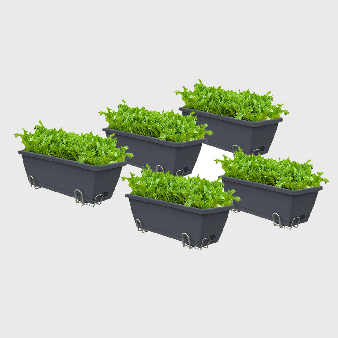 49.5cm Black Rectangular Vegetable Herb Flower Planter Box Set of 5