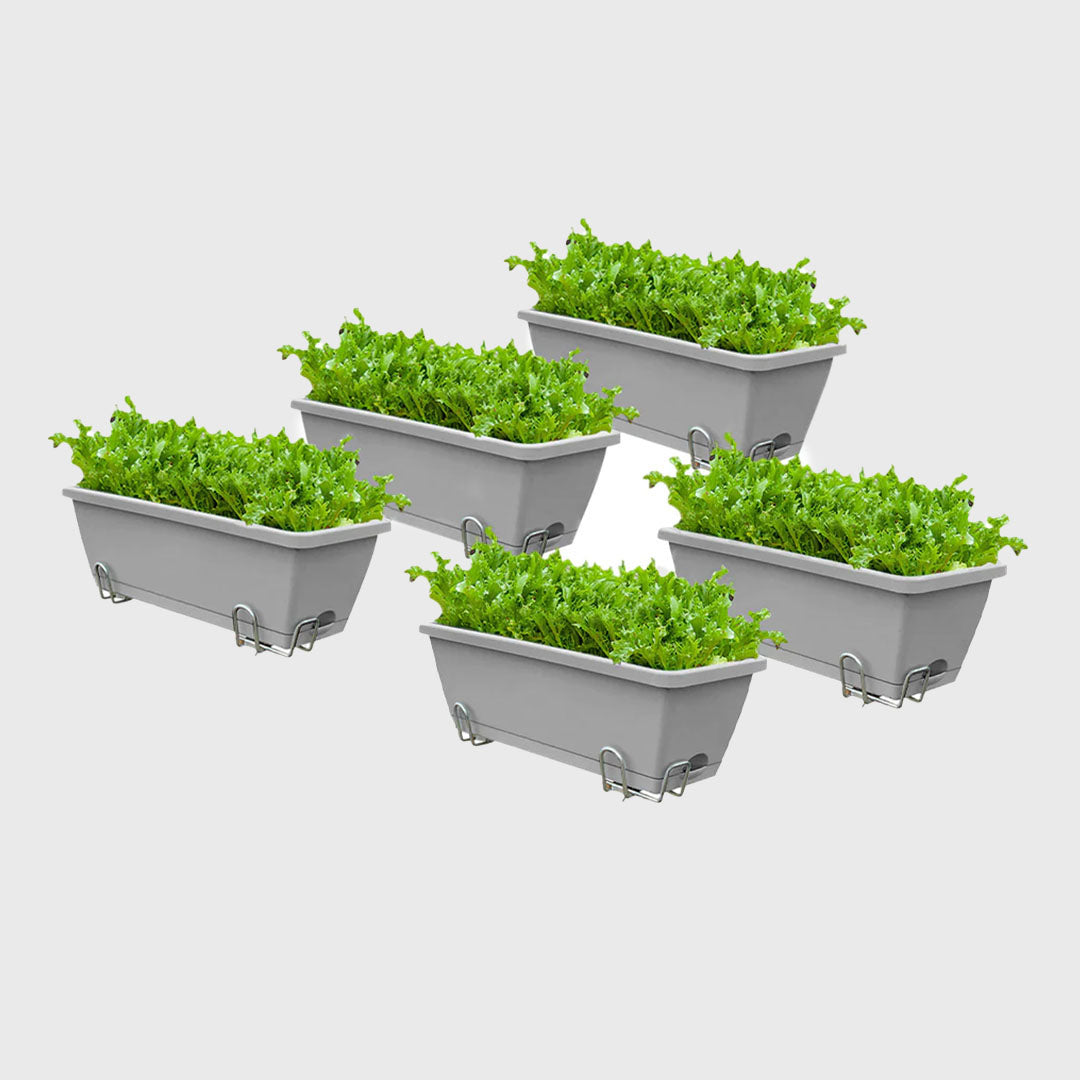 49.5cm Blue Rectangular Vegetable Herb Flower Planter Box Set of 5