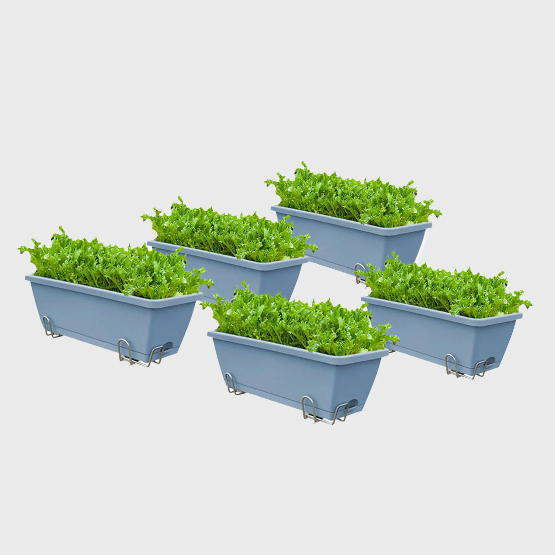 49.5cm Green Rectangular Vegetable Herb Flower Planter Box Set of 5