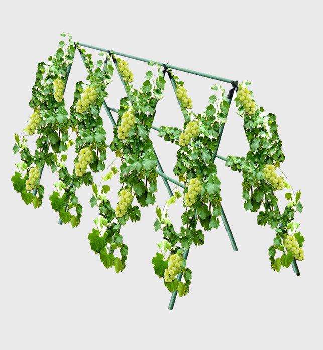 90cm Plant Frame Tube Trellis