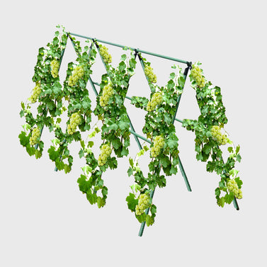 120cm Plant Frame Tube Trellis