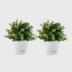 White Plastic Plant Self Watering Indoor Outdoor Plant Pot Set of 2