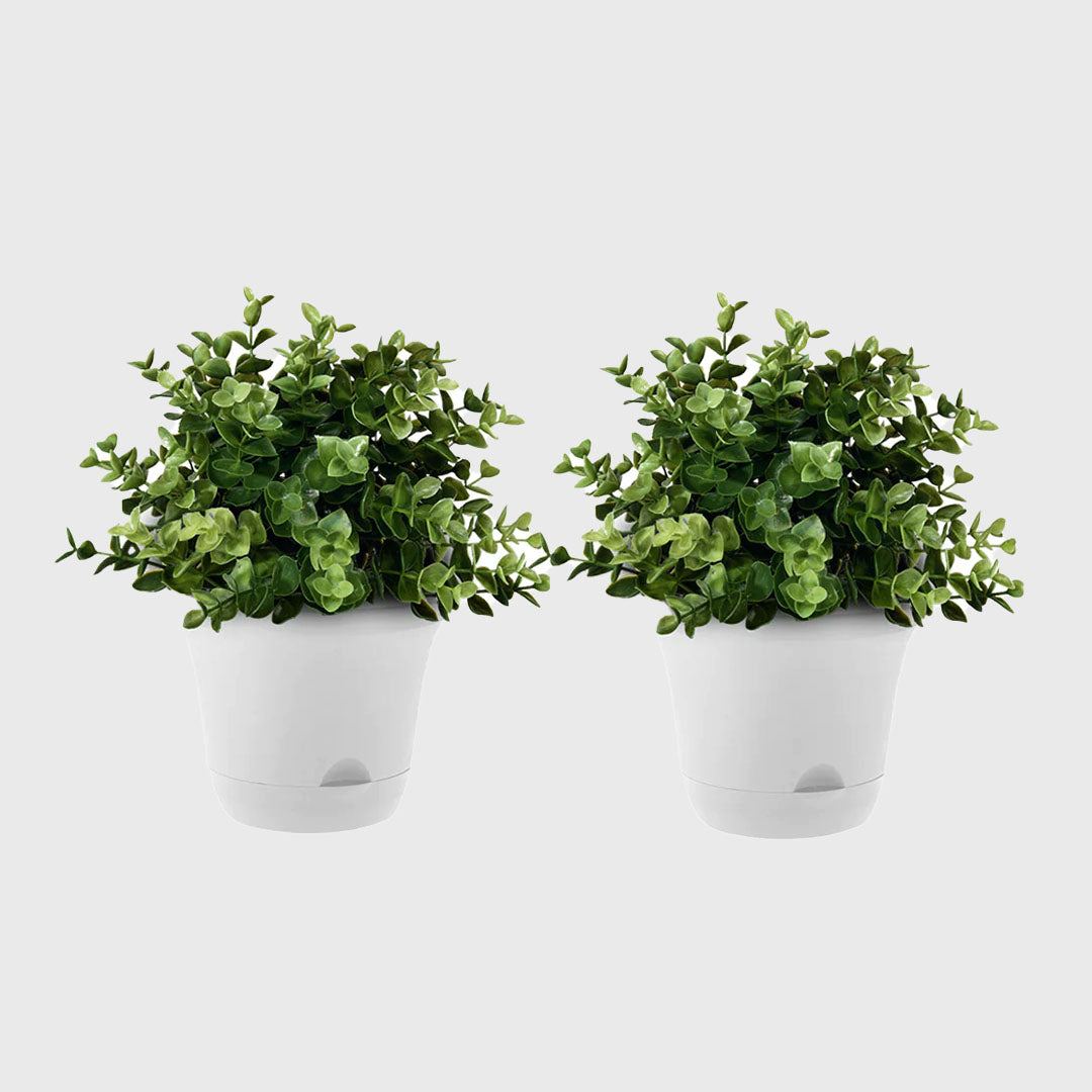White Plastic Plant Self Watering Indoor Outdoor Plant Pot Set of 2