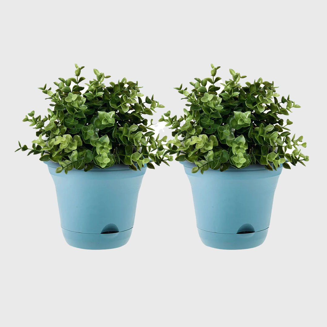 Blue Plastic Plant Self Watering Indoor Outdoor Plant Pot Set of 2