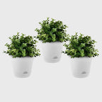 White Plastic Plant Self Watering Indoor Outdoor Plant Pot Set of 3