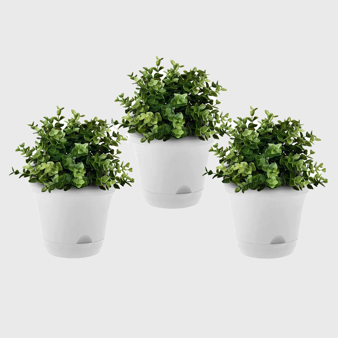 White Plastic Plant Self Watering Indoor Outdoor Plant Pot Set of 3