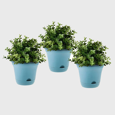 Blue Plastic Plant Self Watering Indoor Outdoor Plant Pot Set of 3