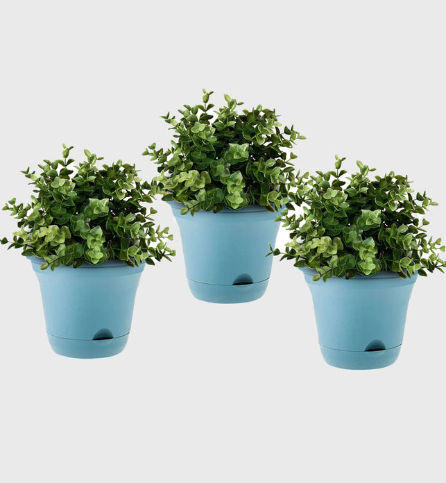 Blue Plastic Plant Self Watering Indoor Outdoor Plant Pot Set of 3