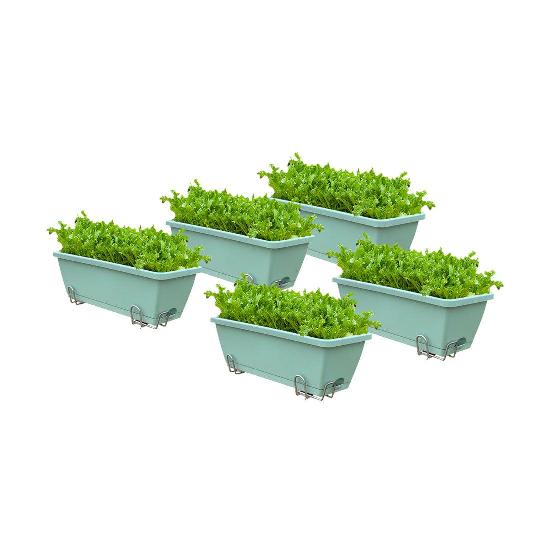 49.5cm Green Rectangular Vegetable Herb Flower Planter Box Set of 5