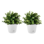White Plastic Plant Self Watering Indoor Outdoor Plant Pot Set of 2