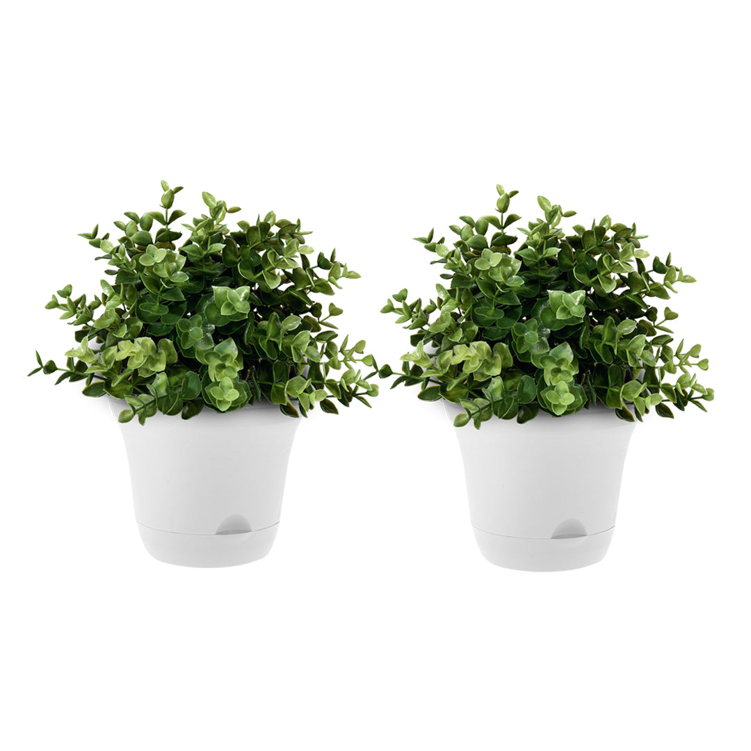 White Plastic Plant Self Watering Indoor Outdoor Plant Pot Set of 2