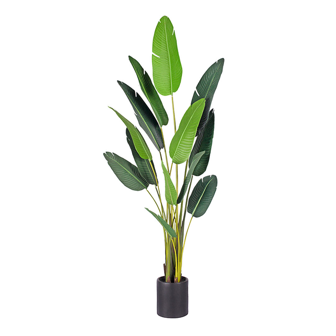 220cm Birds of Paradise Artificial Plant