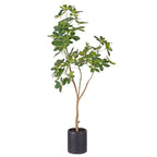 160cm Schefflera Artificial Plant